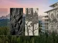 Fasada jako płótno architekta. Nowe możliwości projektowe z EQUITONE [inspira]