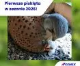 Gdy przemysł spotyka naturę – Zajrzyj do pustułek z zakładów Cemex