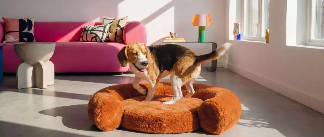 A fresh take on home interiors. HUGS introduces pet furniture in the spirit of quiet design