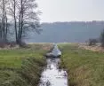 tama bobrowa na rowie melioracyjnym na łąkach na wschód od grobli