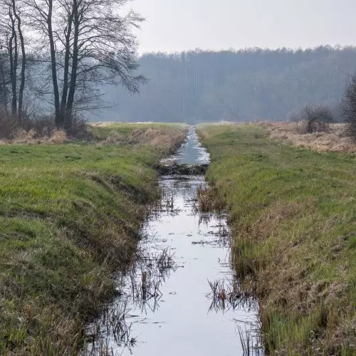Miało być pole golfowe, będzie mokradło!