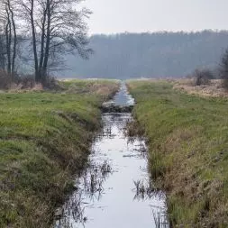 tama bobrowa na rowie melioracyjnym na łąkach na wschód od grobli