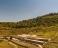 Quinta de Adorigo Winery in the Douro