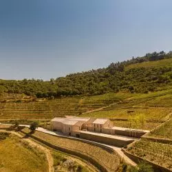 Quinta de Adorigo Winery w Douro