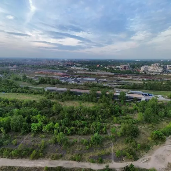 Park Henrykowski – jak Wrocław wykorzysta potencjał tego miejsca?