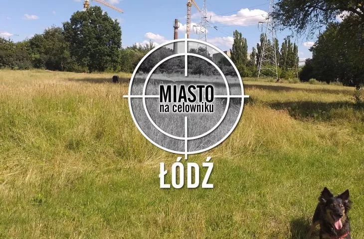 Deptać trawę! Zieleń miejska w Łodzi z perspektywy spacerowicza