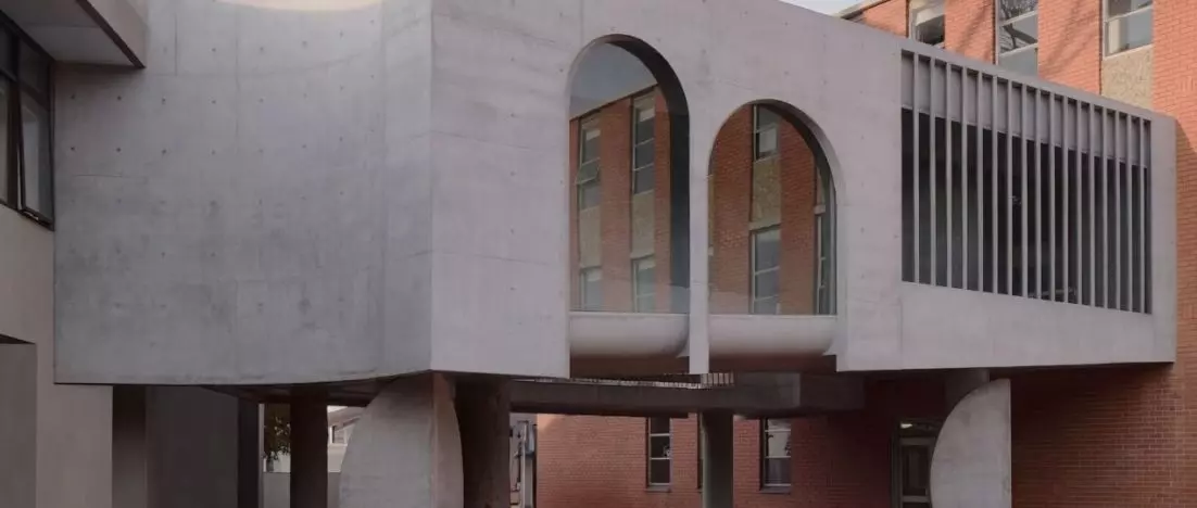 Architektura podporządkowana drzewu. Flyover projektu Farrell+Wray