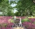 “Mens Sana in Corpore Sano”: A Project for Health-Promoting Recreational Areas in Poddębice