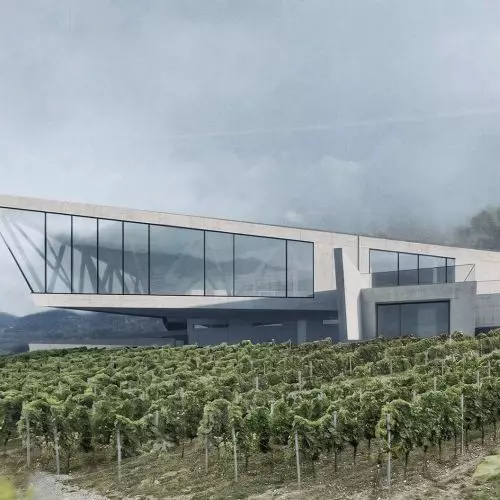 Enoteka nad Dunajcem. Architektura wpisana w stok i krajobraz winnic