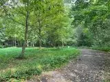 Park Grzegórzecki: czego chcą mieszkańcy? Jest raport z konsultacji przedsięwzięcia, na które Kraków czeka już 13 lat