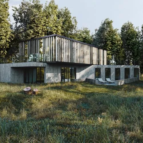 Villa like a tree house, or concrete and wood in the middle of the forest