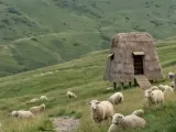 Specjalistyczne gospodarstwo wiejskie – owczarnia. Architektura wpisana w górski krajobraz