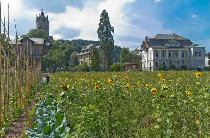 Climate disaster spaces: edible city #OEES