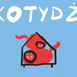 Na warsztatach uczestnicy wykonają domki dla kotów