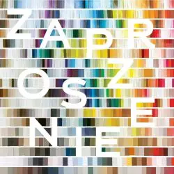 Znaczenie kolorów w projektowaniu: spotkanie ze Stephanie Kraneveld