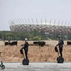 „Wieśland, czyli miejska fantazja kryta strzechą”