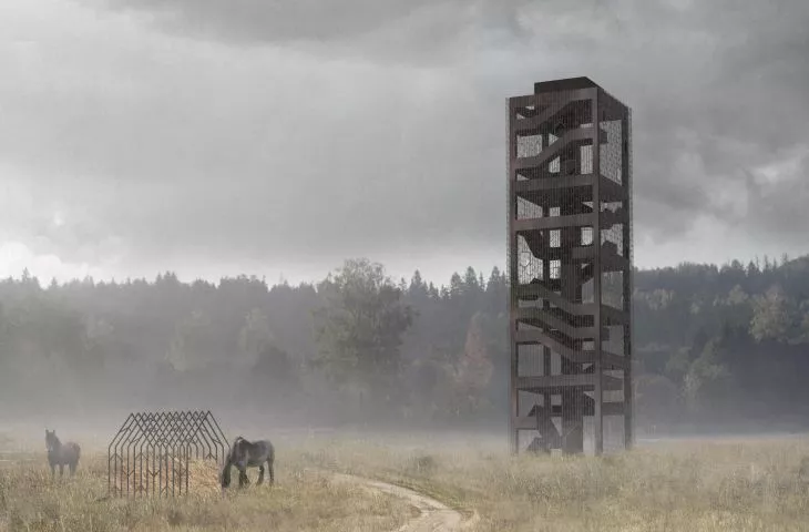 Wildlife, horses, lakes. A project by students of the Silesian University of Technology