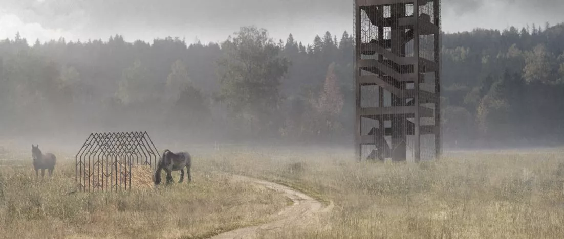 Wildlife, horses, lakes. A project by students of the Silesian University of Technology