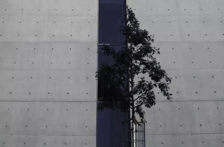 Architektura Betonowa 2020. Nagrody dla najlepszych prac dyplomowych rozdane!