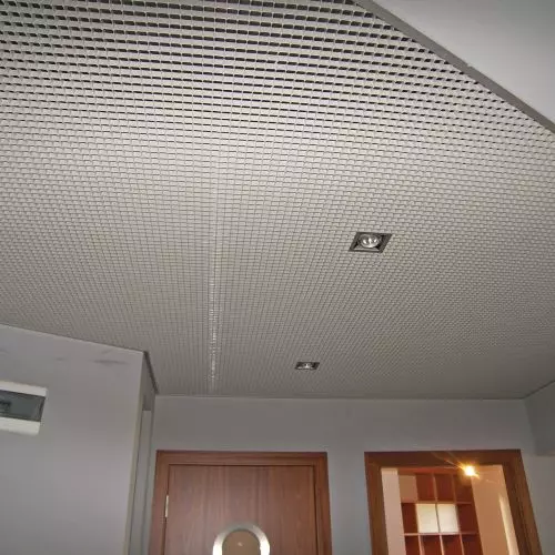 Openwork plastic suspended ceilings stronger than steel