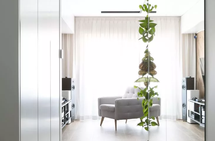 Green wall in a modern apartment near Krakow