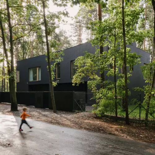Creativity, calculation and ecology - architects' house in a forested landscape