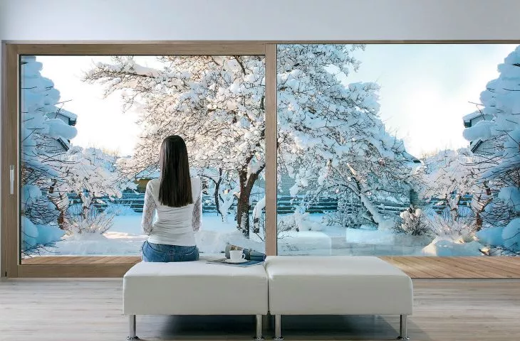 FAKRO INNOVIEW wood and aluminum windows - top class products