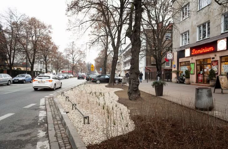 Big effect of small changes. Greenery instead of concrete on French Street