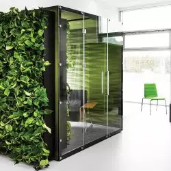 WALL_JUNGLE