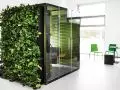WALL_JUNGLE