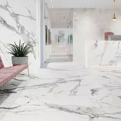 Calacatta White