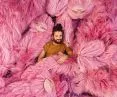 Pink Beasts