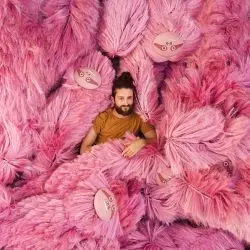 Pink Beasts
