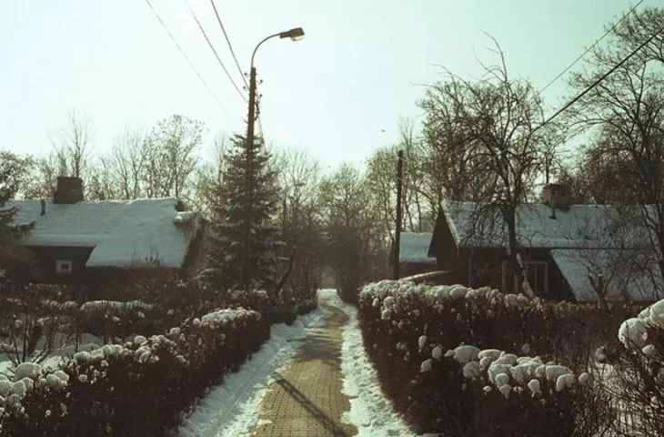 Żywe osiedle fińskich domków