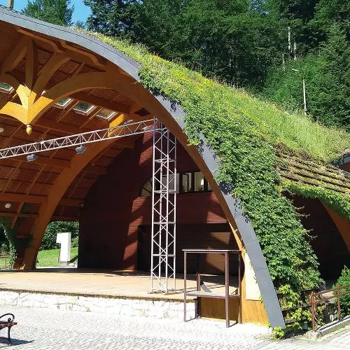 Dachy zielone na powierzchniach skośnych i stromych. Gotowe rozwiązania i doradztwo