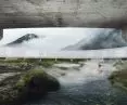 Projekt „Circle of nature”