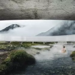 Projekt „Circle of nature”