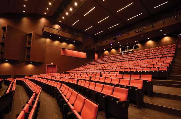 Kompleksowa aranżacja sal kinowych, teatralnych i audytoriów
