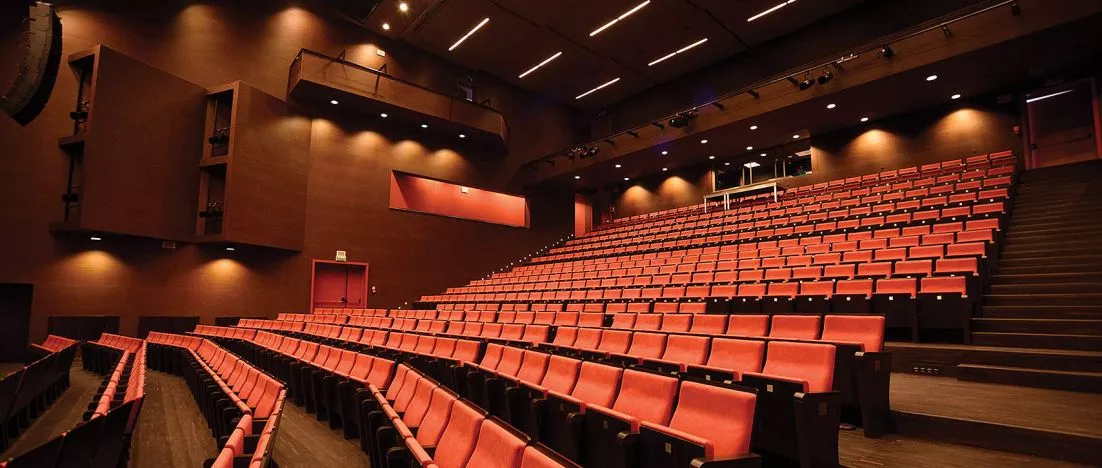 Comprehensive arrangement of cinemas, theaters and auditoriums
