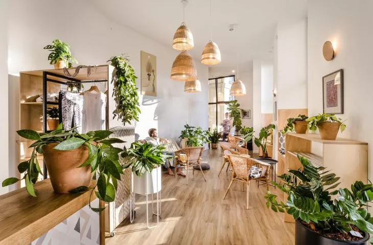 Yoga studio full of greenery and design. Yoga Republic in Warsaw