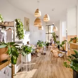 Studio jogi pełne zieleni