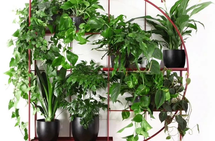 How do we make our homes greener?