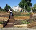 Urban gardening w przestrzeni miasta