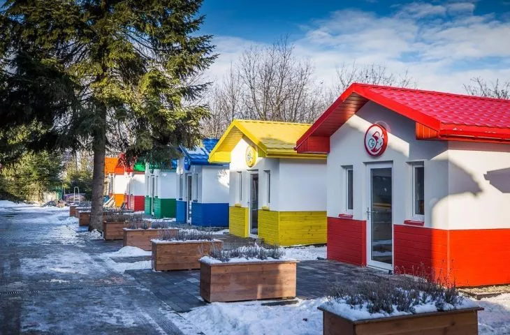 Kolorowe domki dla bezdomnych psów w Przemyślu