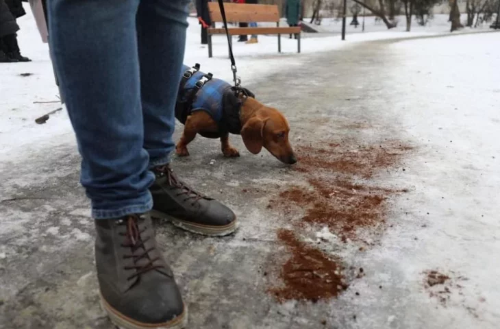 Winter attack repelled by coffee. Coffee grounds on sidewalks stir controversy