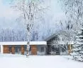 Projekt domu z płaskim dachem i częścią dzienną typu nowoczesna stodoła autorstwa ap2 Architekci
