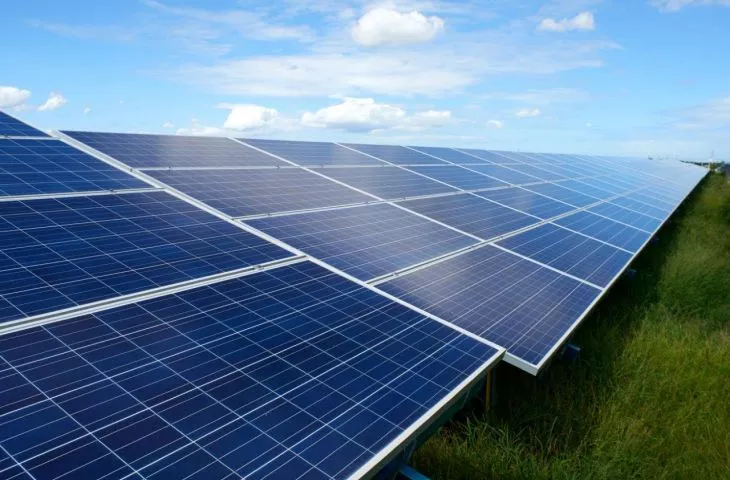 Lena Lighting invests in photovoltaic farm