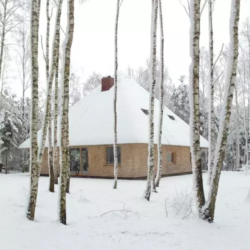 Dom Grzyb – symbioza architektury z naturą