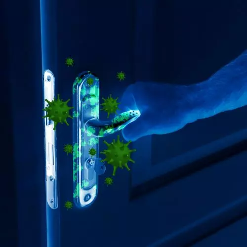 Antibacterial and antiviral paint coatings for construction and interior design