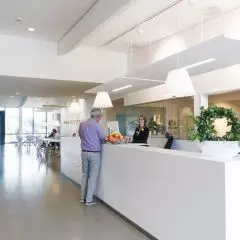 Solo™ Rectangle Line